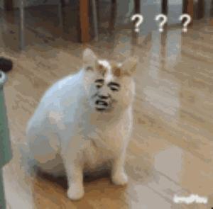 DƬ